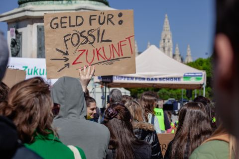 Fridays for Future Demo